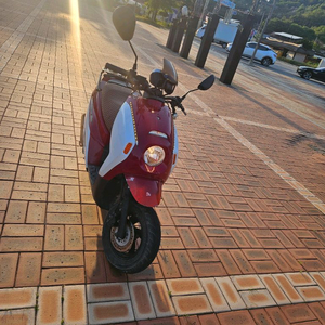 위티100 이미지