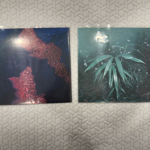 신해경 나의 가역반응 lp 서레페 초판 이미지