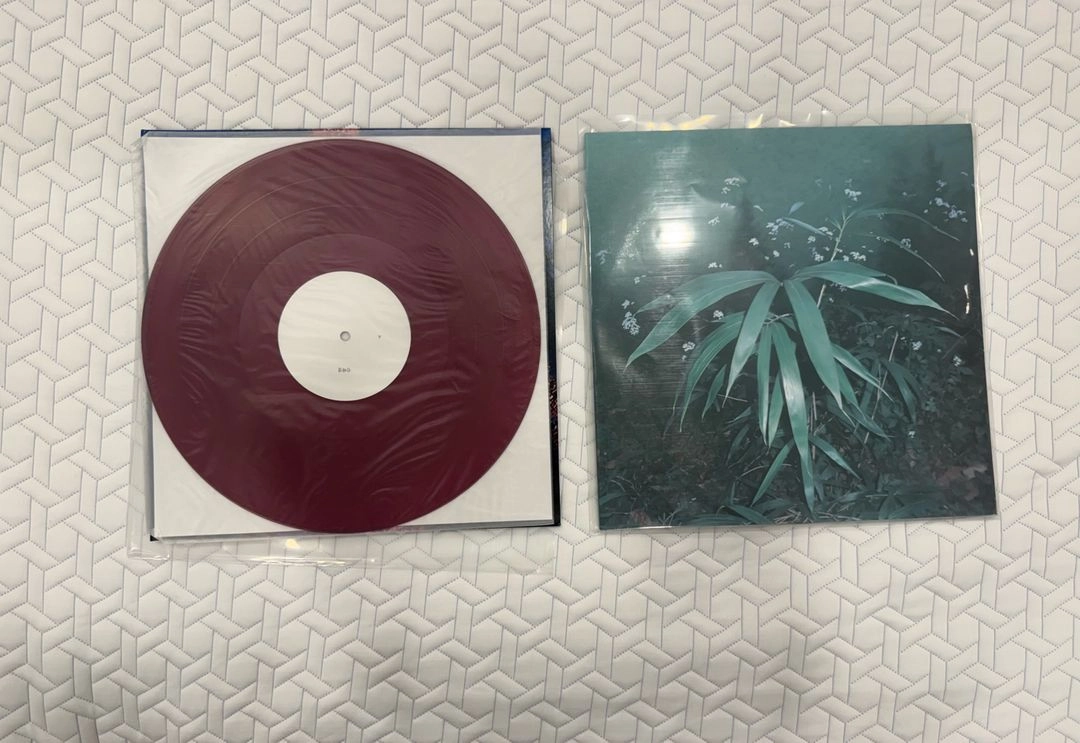 신해경 나의 가역반응 lp 서레페 초판 이미지