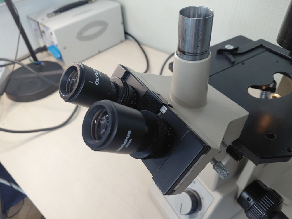 OLYMPUS CK2 올림푸스 도립 위상차 현미경 이미지