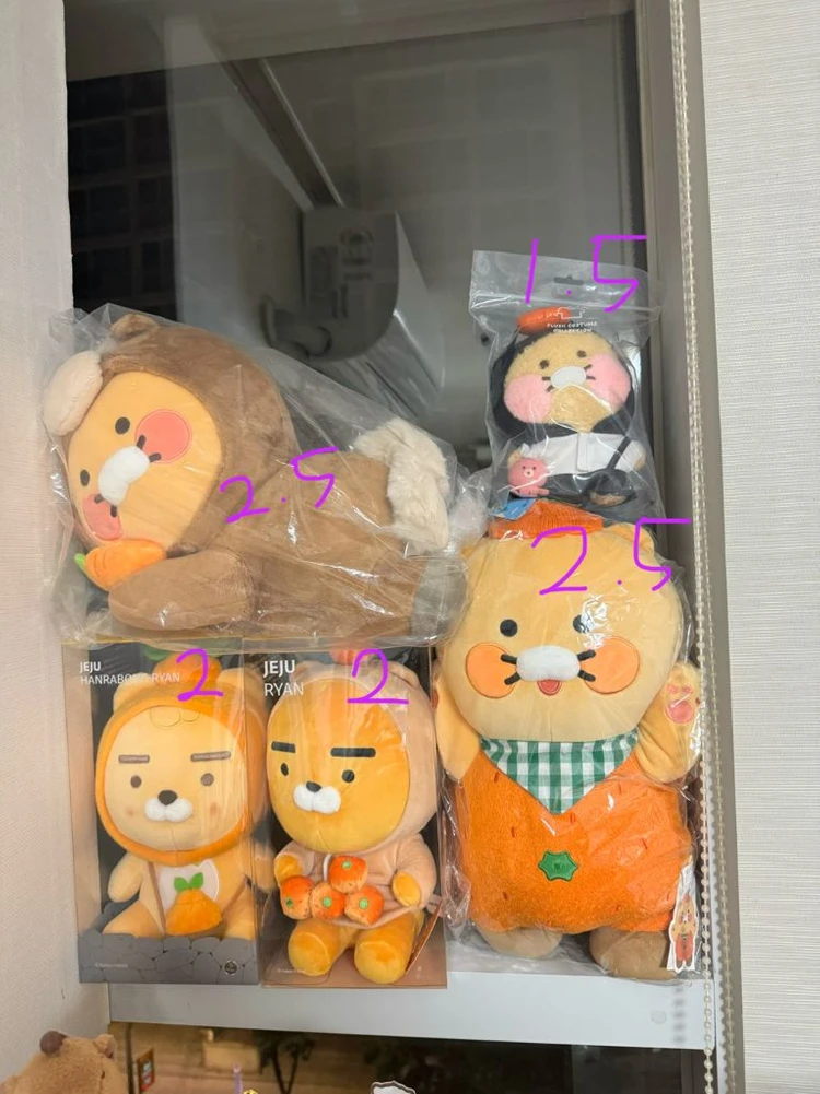 카카오 제주 인형 (라이언, 춘식이) 쿠로미모자 시나모롤, 어피치 이미지