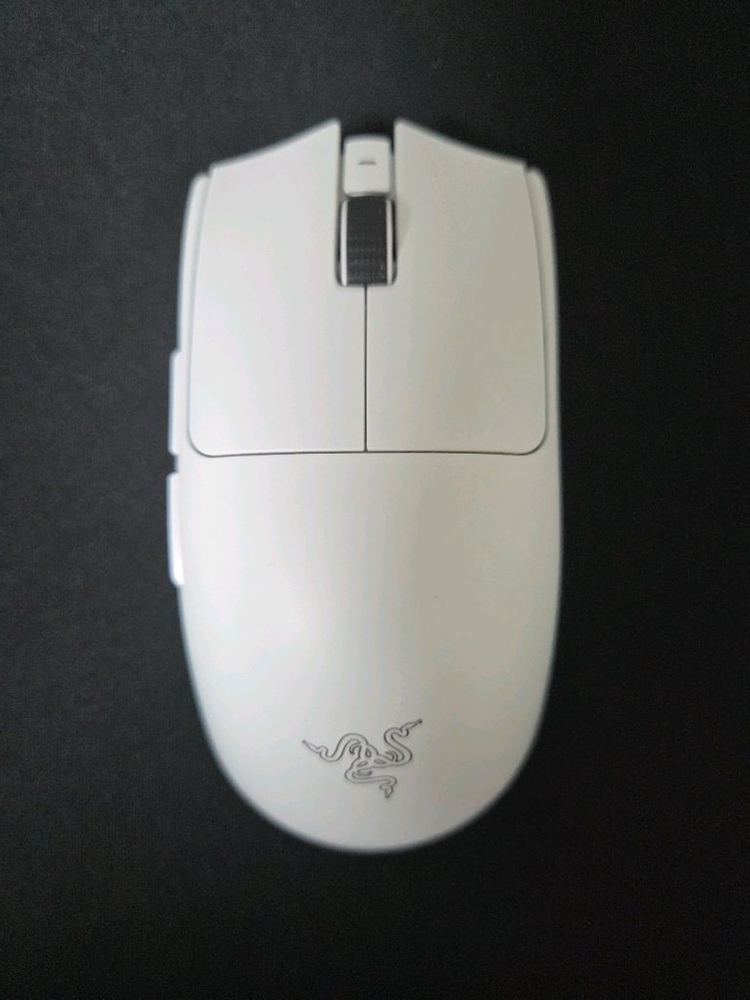 레이저 바이퍼 v3 pro 이미지
