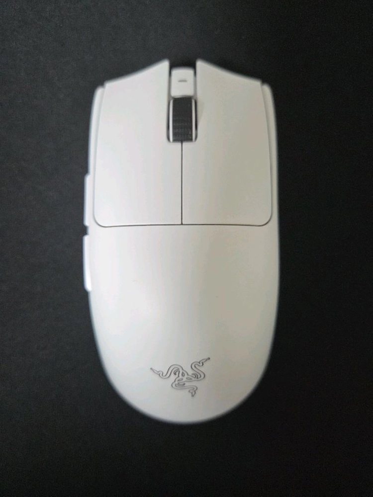레이저 바이퍼 v3 pro 이미지