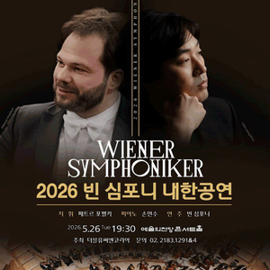 빈 심포니 내한공연 R석 티켓 양도 이미지