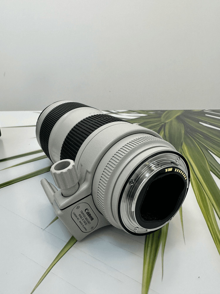 f/2.8L IS III USM 망원렌즈 이미지