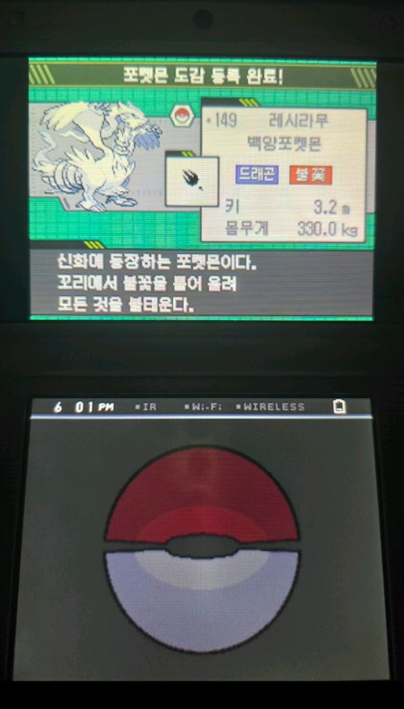 닌텐도 ds 포켓몬스터 블랙 칩 알칩 이미지