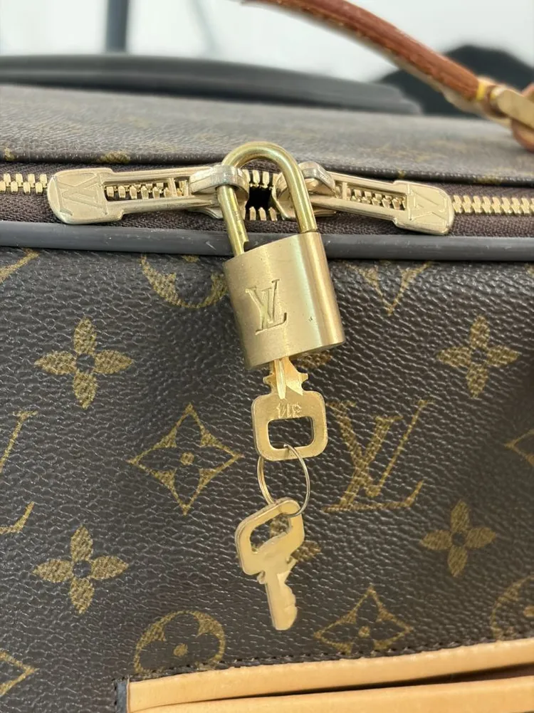 루이비통 캐리어 이미지