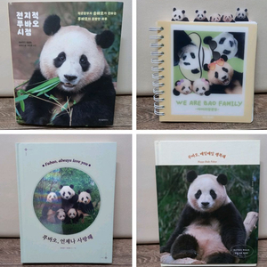 푸바오책 3권,바오 패밀리 노트1권_택포24000원(정가 총73000원) 이미지