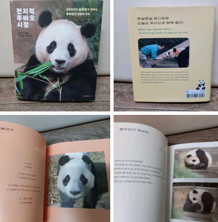 푸바오책 3권,바오 패밀리 노트1권_택포24000원(정가 총73000원) 이미지