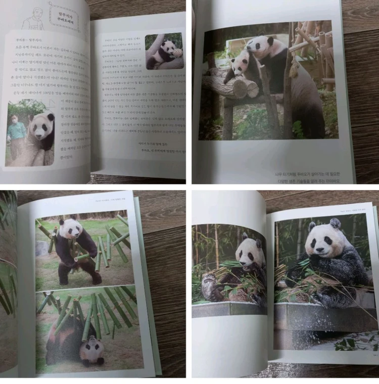 푸바오책 3권,바오 패밀리 노트1권_택포24000원(정가 총73000원) 이미지