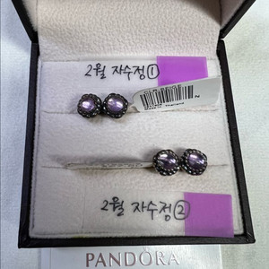 판도라 실버 단종 귀걸이 구탄 2월 2종 개별구매가능 이미지
