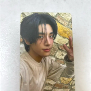 the sin 제이크 엔하이픈 포카 이미지