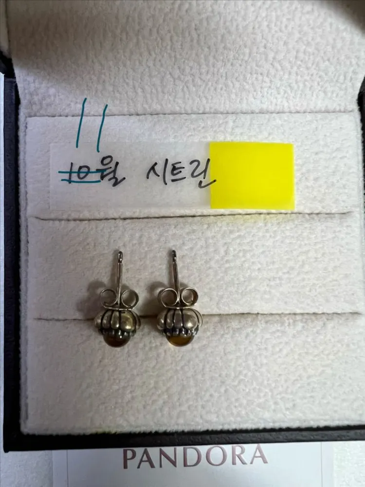 판도라 실버 단종 귀걸이 구탄 1월, 8월, 11월 개별구매가능 이미지