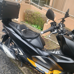 pcx 125 이미지