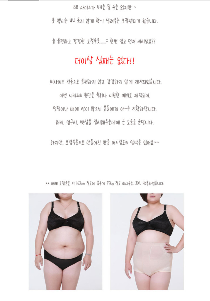 빅사이즈 보정 속옷 거들 팬티 블랙 2개 이미지