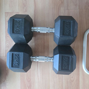 덤벨 20kg 2개 세트 이미지