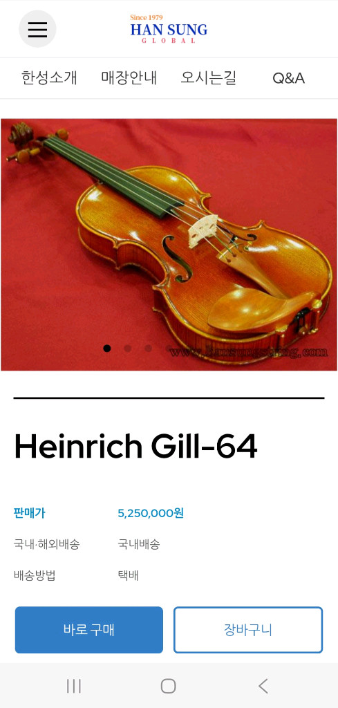 독일 바이올린 이미지