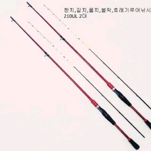 한치,화살촉오징어,갈치,풀치,호래기,볼락 루어낚시대2대 이미지