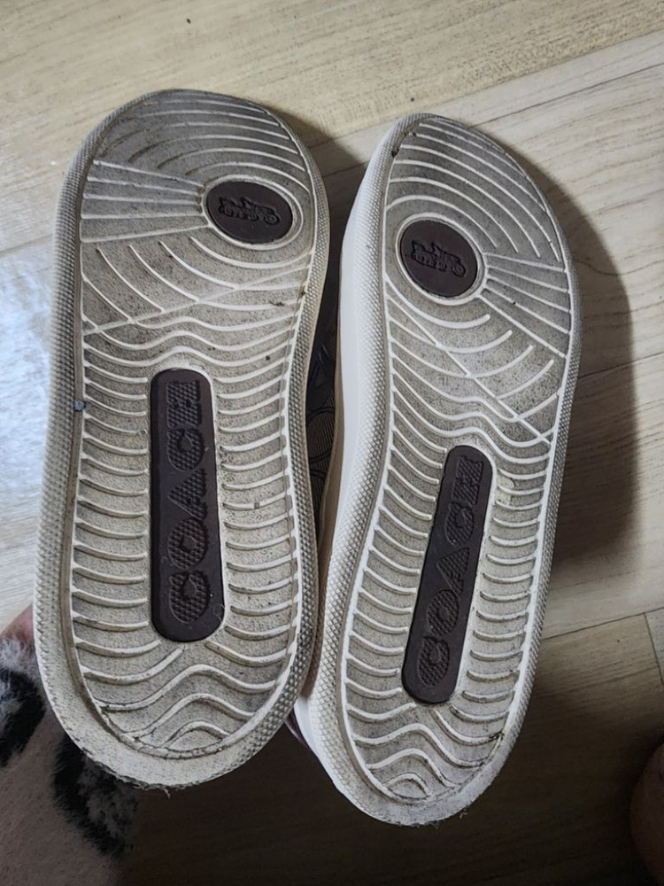 코치 신발 슬립온 운동화 이미지