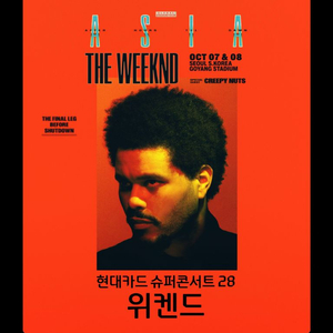 WEEKND 위켄드 콘서트 댈티 티케팅 취켓팅대리비 후불 이미지