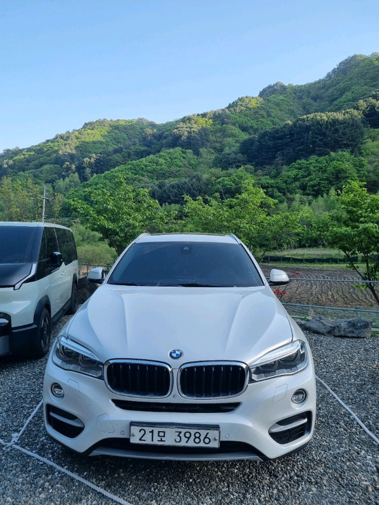 BMW X6 30d Xdrive 이미지