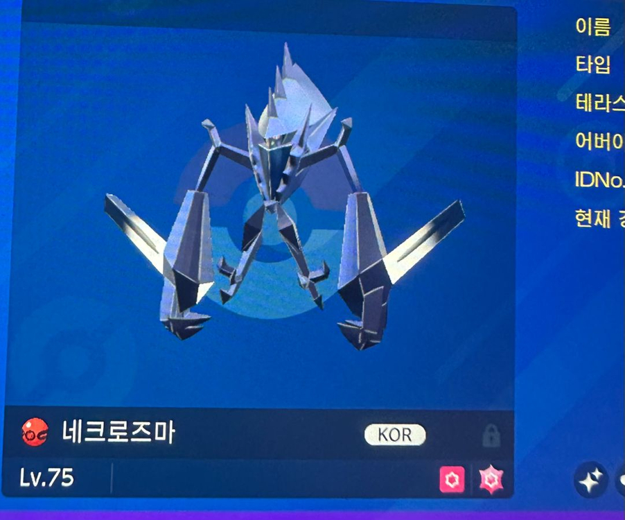 이로치 솔가레 루나아라 네크로즈마 포켓몬스터 스칼렛 바이올렛 닌텐도 스위치2 소드 실드 챔스 챔피언스 za 이미지