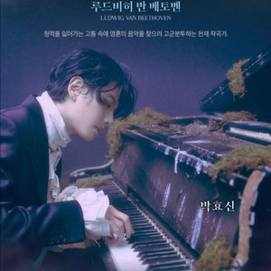 뮤지컬 베토벤 6월 13일 토 박효신 홍광호 이미지