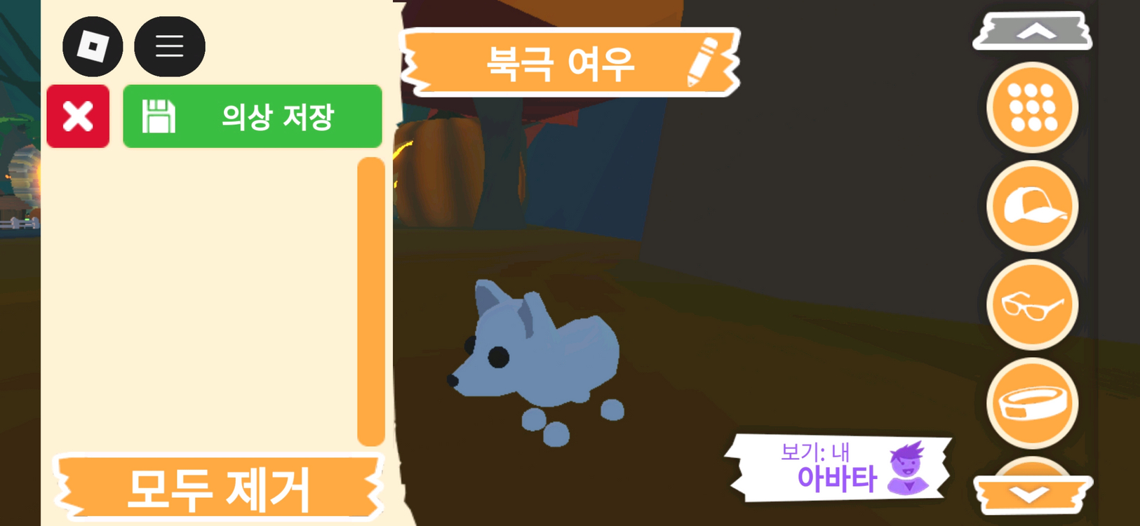 입양하세요 펫 북극 여우 (북여) 판매합니다 이미지