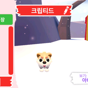 입양하세요 펫 크립티드 판매합니다 이미지