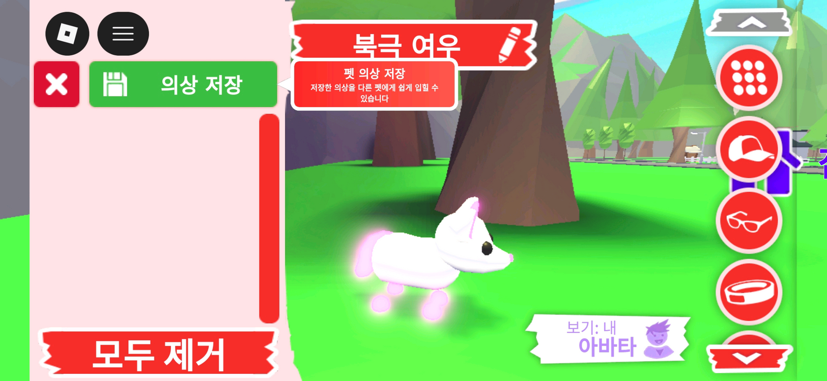 입양하세요 펫 네온 북극 여우(네북여)판매합니다 이미지