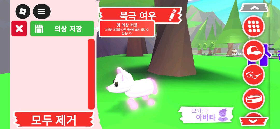 입양하세요 펫 네온 북극 여우(네북여)판매합니다 이미지