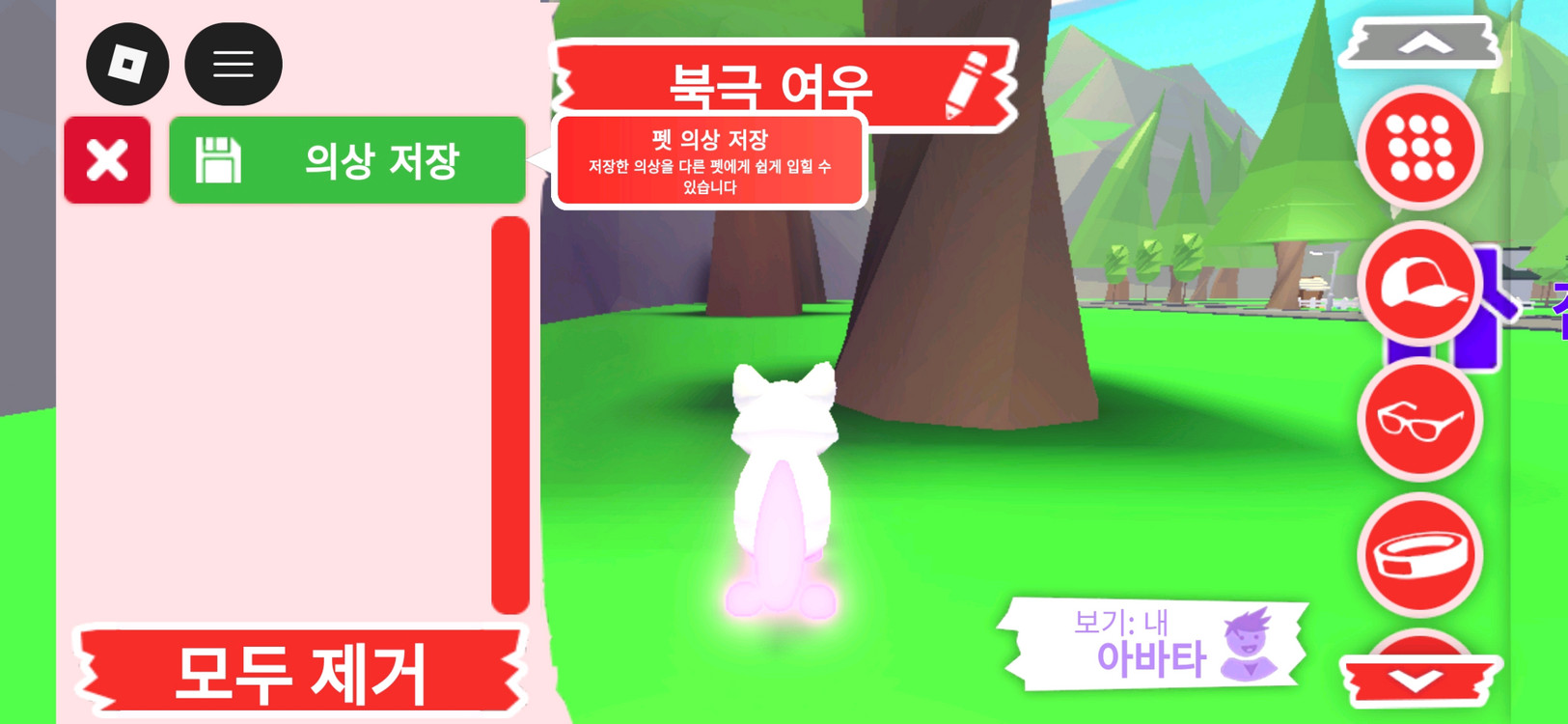입양하세요 펫 네온 북극 여우(네북여)판매합니다 이미지