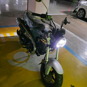 125cc 스쿠터 오토바이 이미지