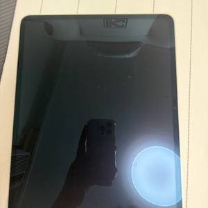 Apple iPad Pro 13인치 실버 m4 이미지