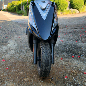 125cc 스쿠터 이미지