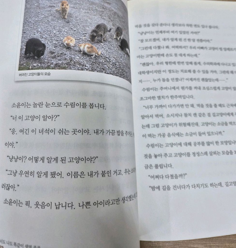 초등융합사회과학 토론왕 아동도서 전집 40권 세트 이미지