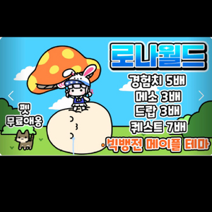 메이플스토리 로나월드 30억메소 억당 1.35에 팝니다 이미지