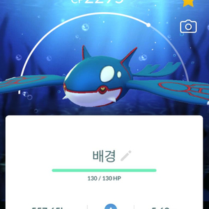 포켓몬고 배경 가이오가 판매 이미지
