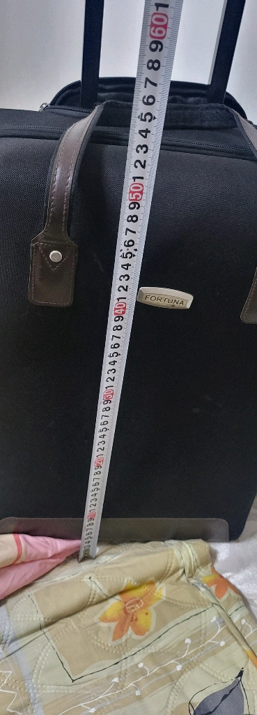 삐에르가르뎅케리어가방케리어외 다른브래드2개 일괄 4만원한개만원주세요는 안되고 총3개사만원입니다 이미지