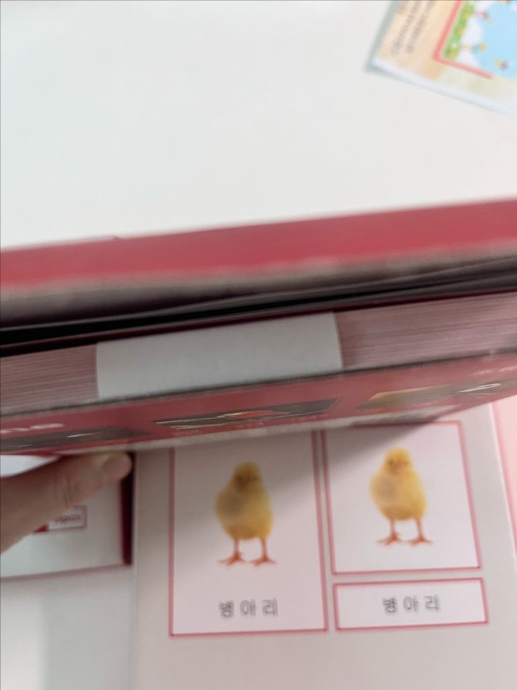 호르메 몬테소리 명칭카드, 조류1, 2, 3단계 카드 이미지