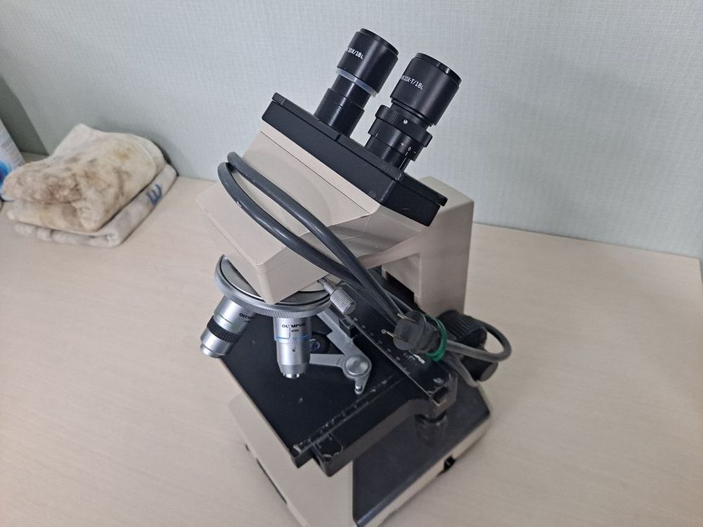 OLYMPUS CH2 CHT 올림푸스 생물현미경 110V 일본 오리지날 이미지