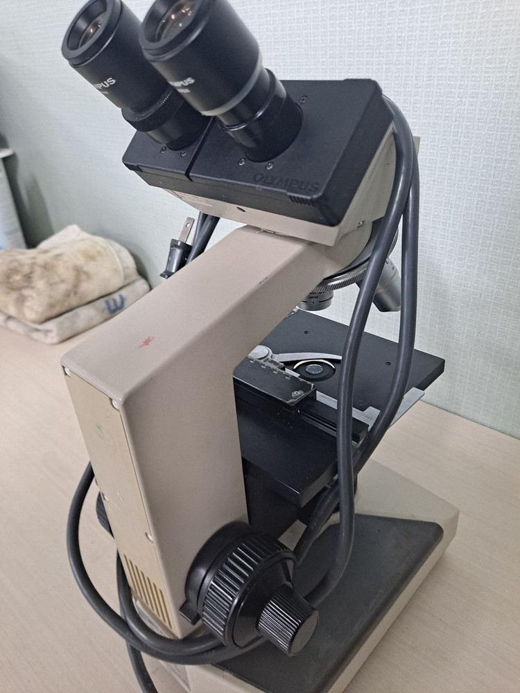 OLYMPUS CH2 CHT 올림푸스 생물현미경 110V 일본 오리지날 이미지