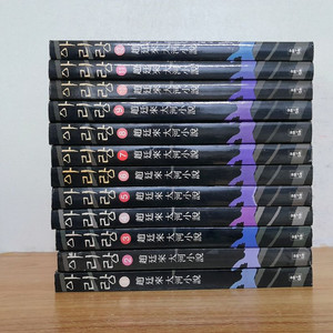 조정래 아리랑 이미지