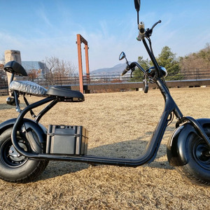 필립스 할리2인용 전기스쿠터 이미지