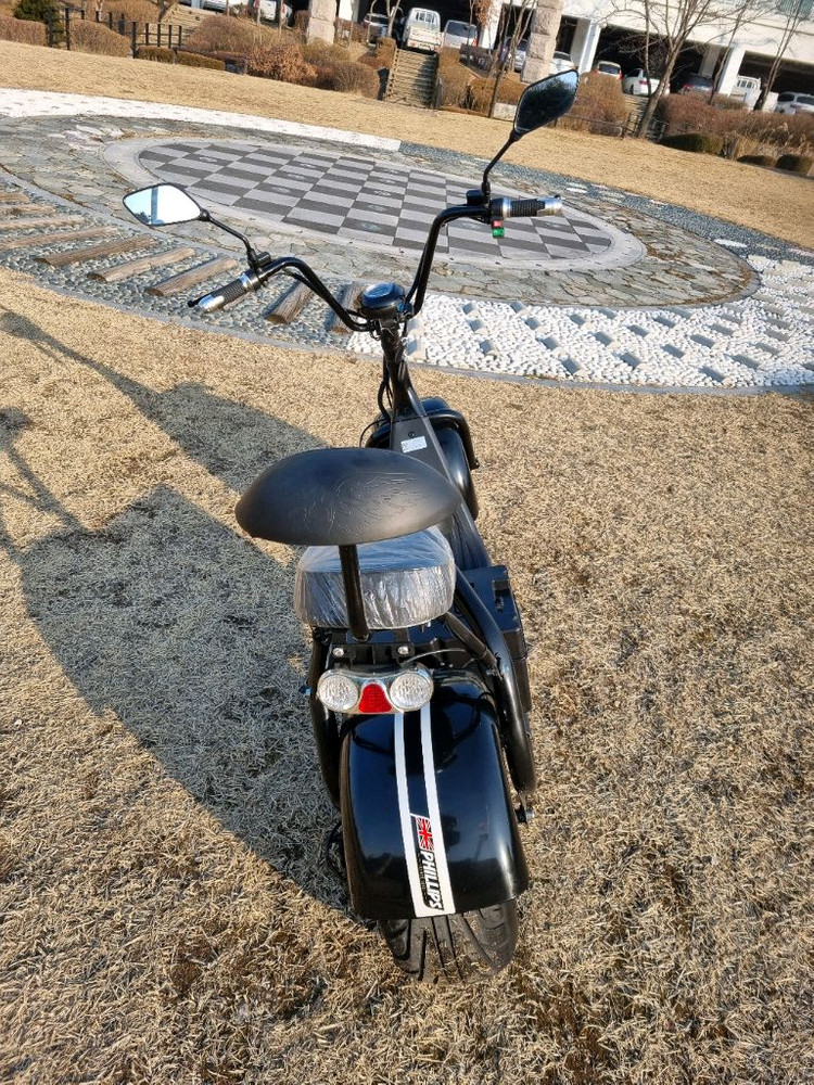필립스 할리2인용 전기스쿠터 이미지