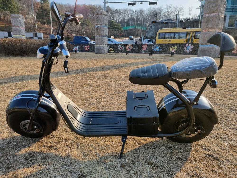 필립스 할리2인용 전기스쿠터 이미지