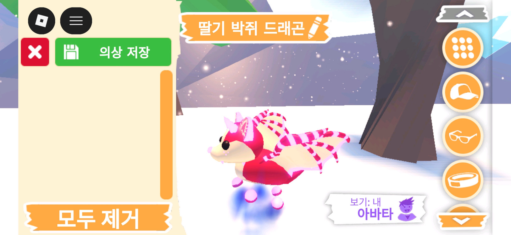 입양하세요 펫 네온 딸기 박쥐 드래곤(네딸박) 판매합니다 이미지