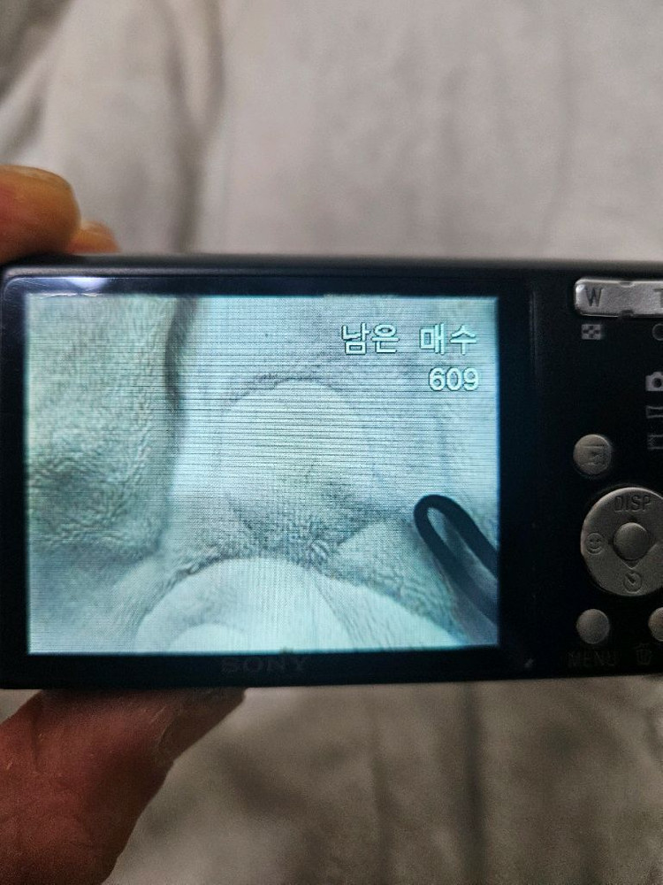 소니 사이버샷 dsc-w610 레트로 디카 빈티지 카메라 이미지