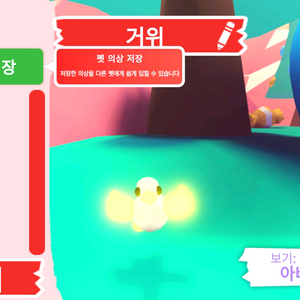 입양하세요 펫 메가네온 거위 (메거위) 판매합니다 이미지