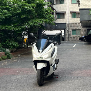20년식 혼다 PCX125 화이트색상 깔끔한차량 판매 이미지